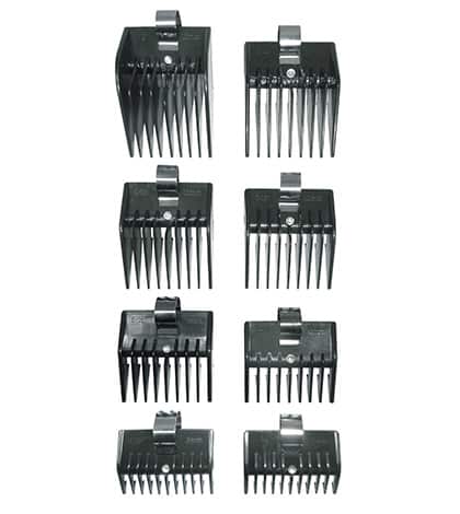 Sabot Standard